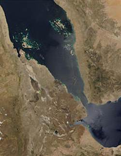 説明: 説明: アファール盆地付近の衛星画像、アファール砂漠は中央下、NASA